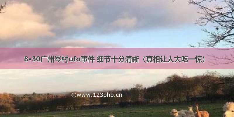 8·30广州岑村ufo事件 细节十分清晰（真相让人大吃一惊）