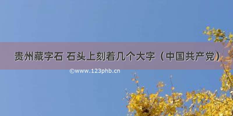 贵州藏字石 石头上刻着几个大字（中国共产党）