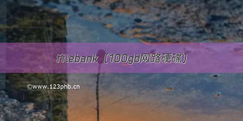 filebank（100gb网路硬碟）