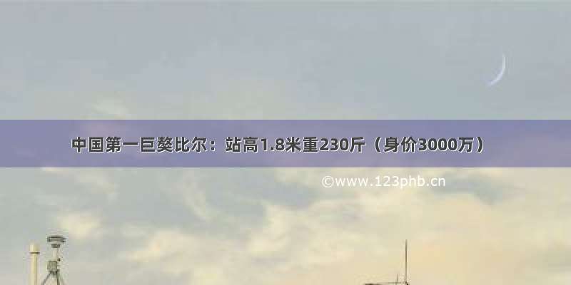 中国第一巨獒比尔：站高1.8米重230斤（身价3000万）