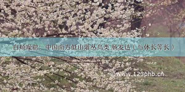 白颊噪鹛：中国南方低山灌丛鸟类 肠发达（与体长等长）