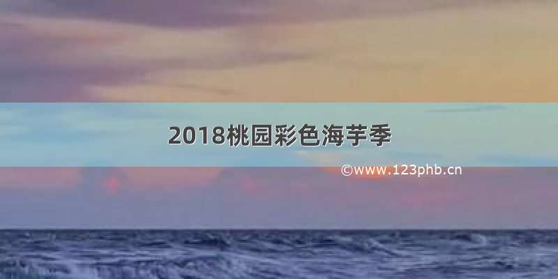 2018桃园彩色海芋季