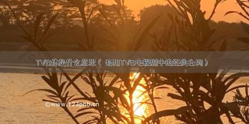 TVB体是什么意思（ 套用TVB电视剧中的经典台词）