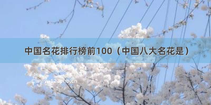 中国名花排行榜前100（中国八大名花是）