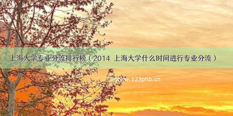 上海大学专业分流排行榜（2014．上海大学什么时间进行专业分流）