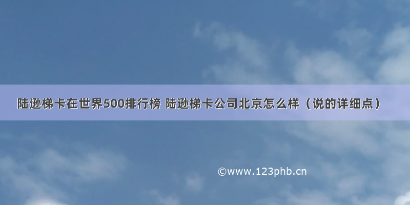 陆逊梯卡在世界500排行榜 陆逊梯卡公司北京怎么样（说的详细点）