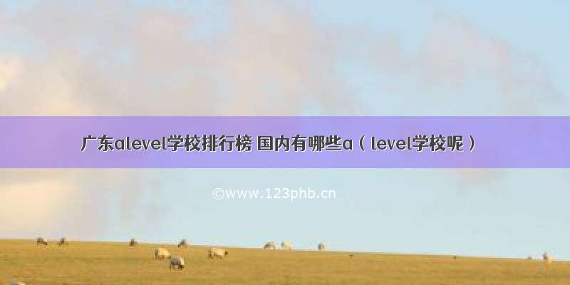 广东alevel学校排行榜 国内有哪些a（level学校呢）