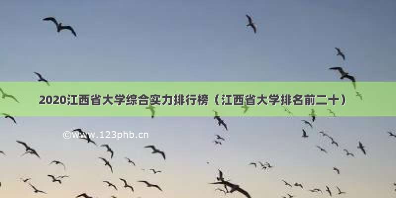 2020江西省大学综合实力排行榜（江西省大学排名前二十）