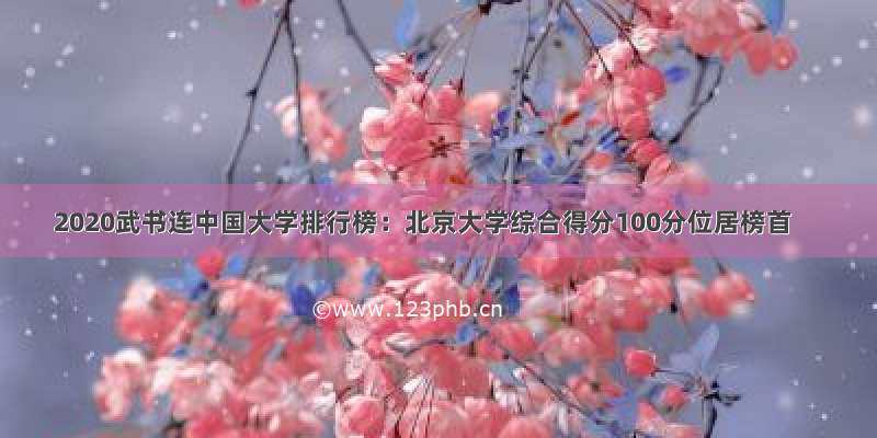 2020武书连中国大学排行榜：北京大学综合得分100分位居榜首