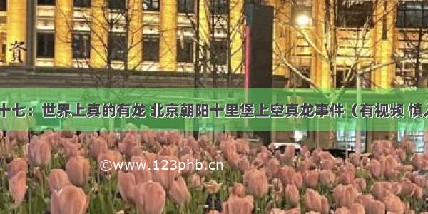 猫十七：世界上真的有龙 北京朝阳十里堡上空真龙事件（有视频 慎入 ）