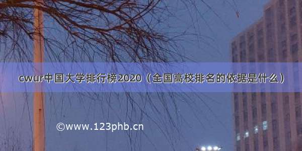 cwur中国大学排行榜2020（全国高校排名的依据是什么）
