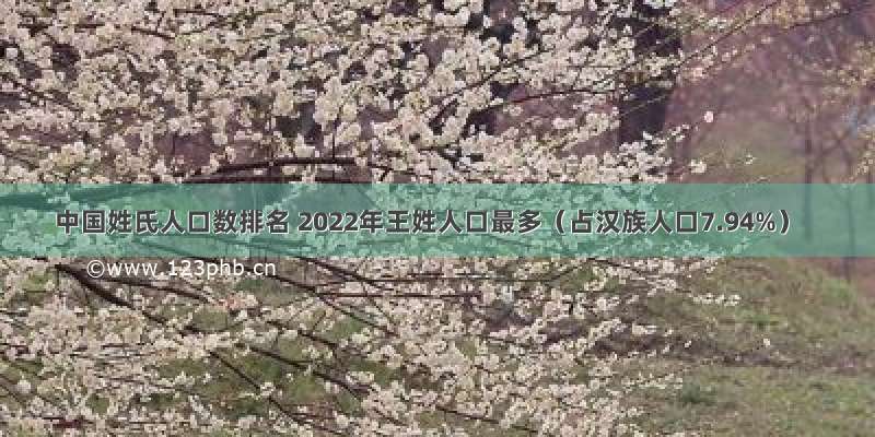 中国姓氏人口数排名 2022年王姓人口最多（占汉族人口7.94%）