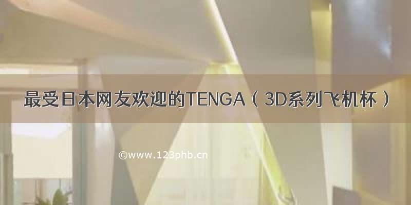最受日本网友欢迎的TENGA（3D系列飞机杯）