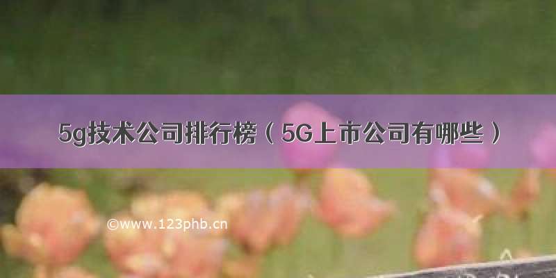 5g技术公司排行榜（5G上市公司有哪些）