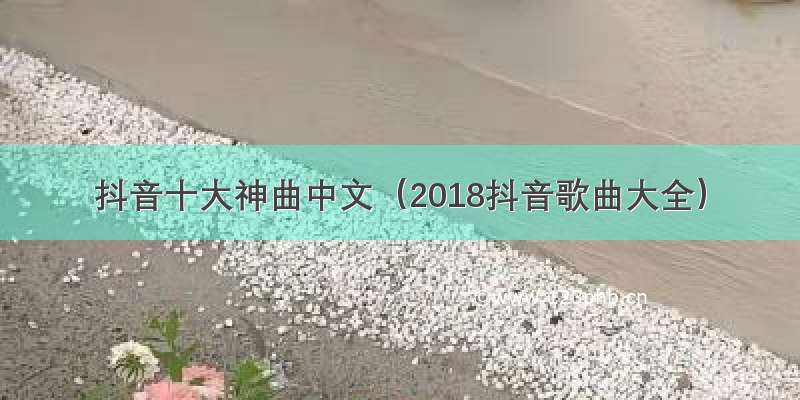 抖音十大神曲中文（2018抖音歌曲大全）