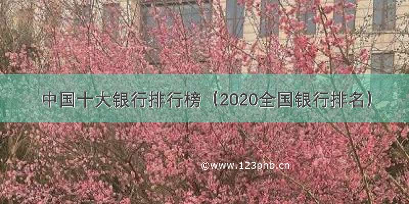中国十大银行排行榜（2020全国银行排名）