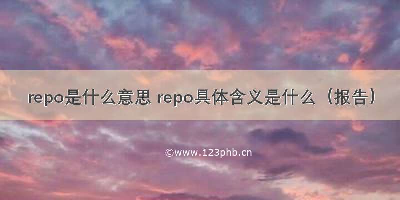 repo是什么意思 repo具体含义是什么（报告）