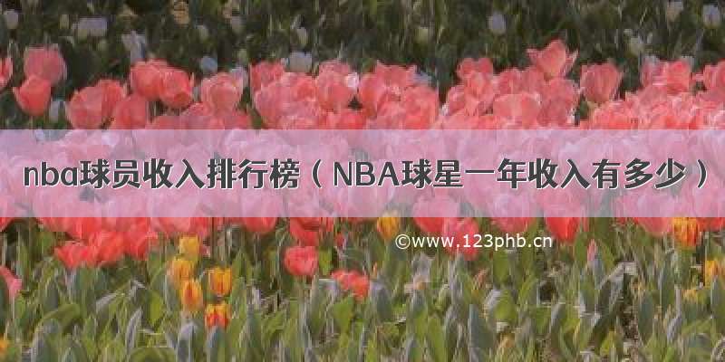 nba球员收入排行榜（NBA球星一年收入有多少）
