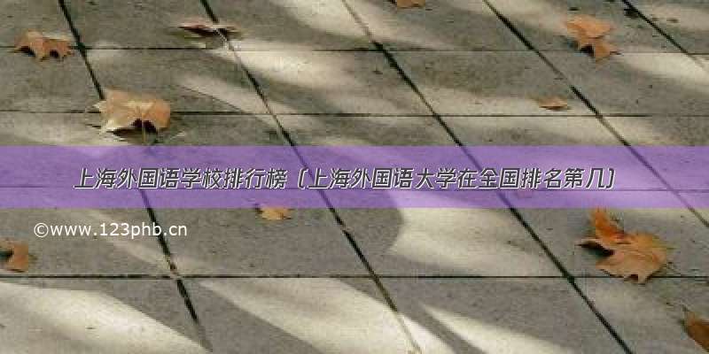 上海外国语学校排行榜（上海外国语大学在全国排名第几）