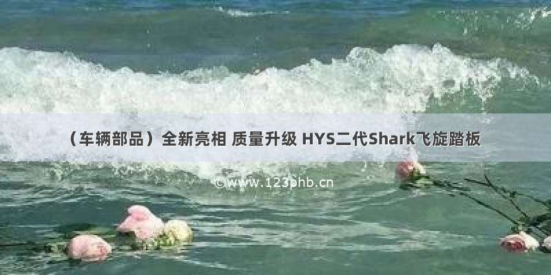 （车辆部品）全新亮相 质量升级 HYS二代Shark飞旋踏板