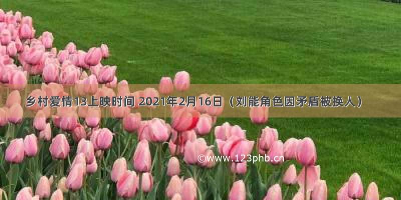 乡村爱情13上映时间 2021年2月16日（刘能角色因矛盾被换人）