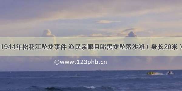 1944年松花江坠龙事件 渔民亲眼目睹黑龙坠落沙滩（身长20米）