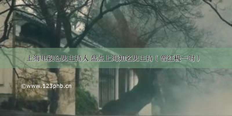 上海电视台男主持人 盘点上海知名男主持（曾红极一时）