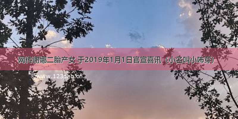 网传谢娜二胎产女 于2019年1月1日官宣喜讯（小名叫小咘芽）