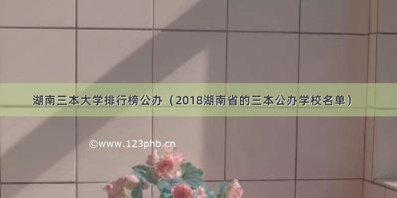 湖南三本大学排行榜公办（2018湖南省的三本公办学校名单）