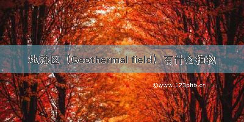 地热区（Geothermal field）有什么植物