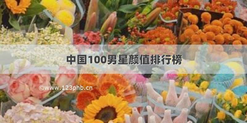 中国100男星颜值排行榜