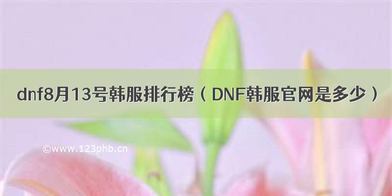 dnf8月13号韩服排行榜（DNF韩服官网是多少）