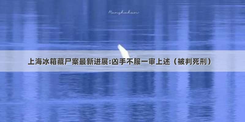 上海冰箱藏尸案最新进展:凶手不服一审上述（被判死刑）