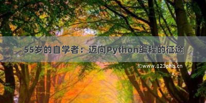 55岁的自学者：迈向Python编程的征途