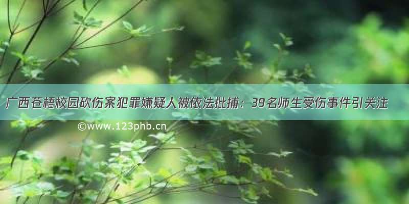 广西苍梧校园砍伤案犯罪嫌疑人被依法批捕：39名师生受伤事件引关注
