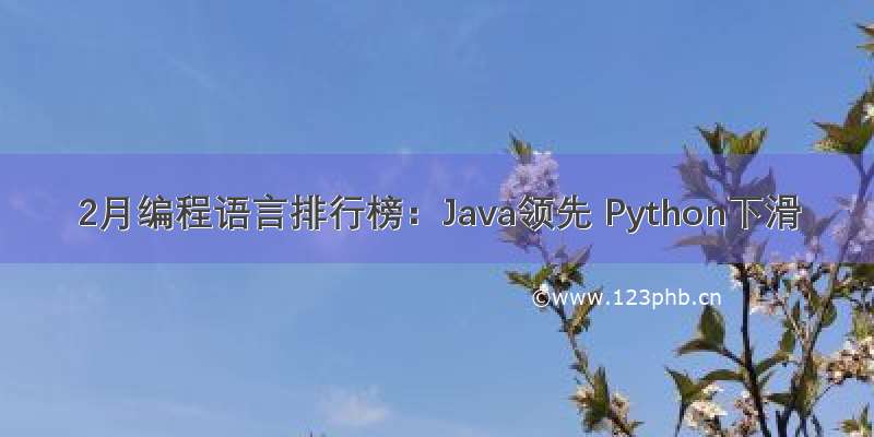 2月编程语言排行榜：Java领先 Python下滑